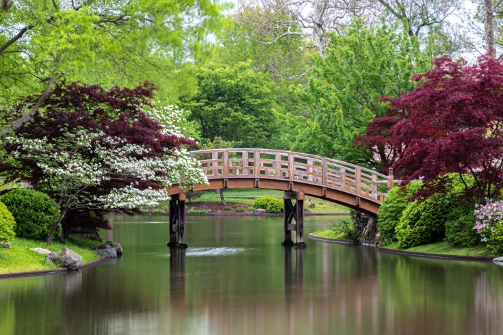 A serene bridge